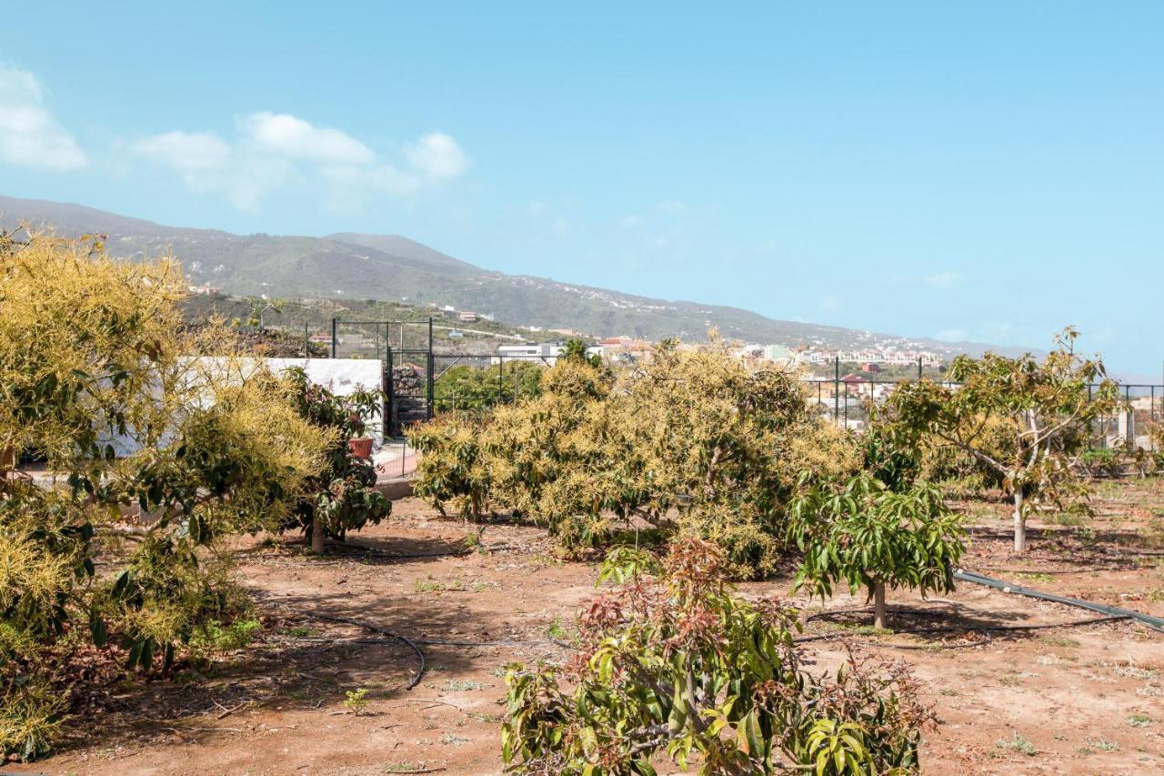 이코드레로스비노스 Casa Quemahierro 2 빌라 외부 사진
